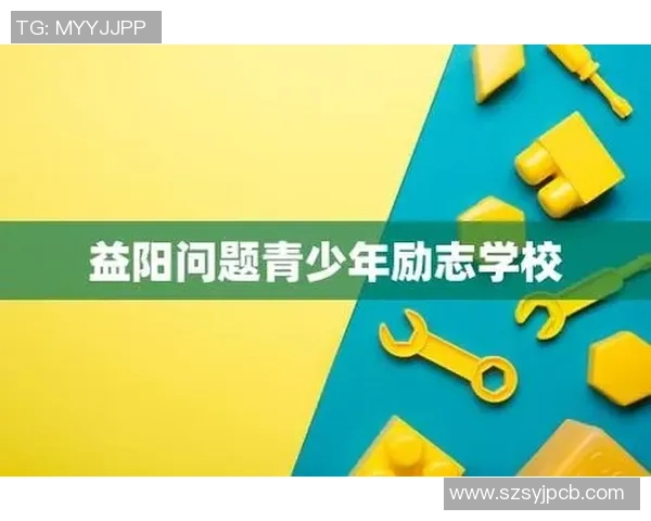 苏伟的成长之路：从普通学生到行业领军人物的励志故事